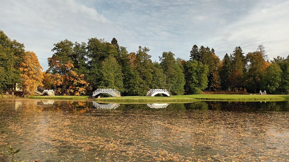 Вихула пруд