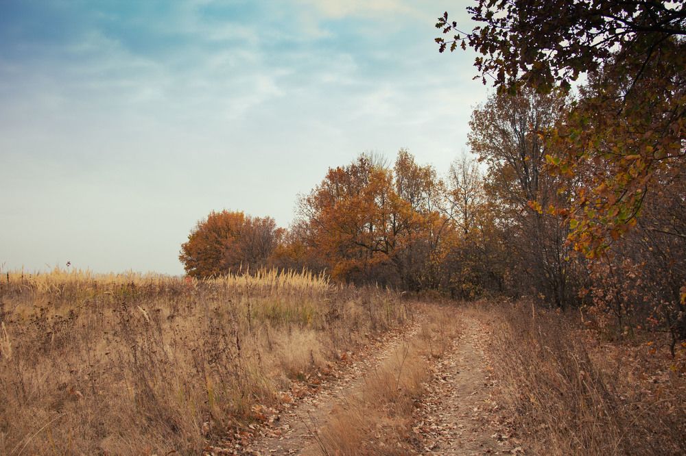 Фотография автора Елена Запертова