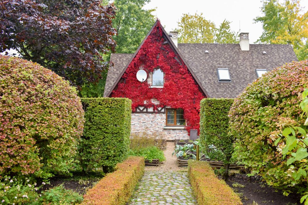 Photograph by Лариса Толкачёва