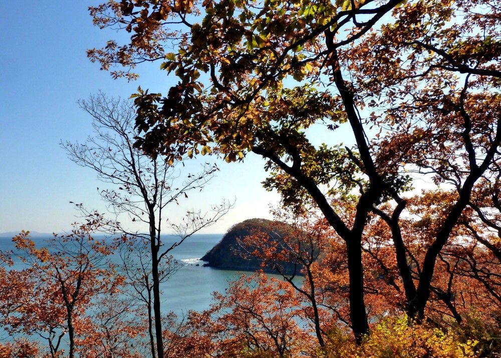 Фотография автора Марина Горбулина