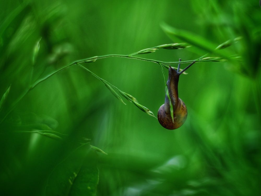 В невесомости