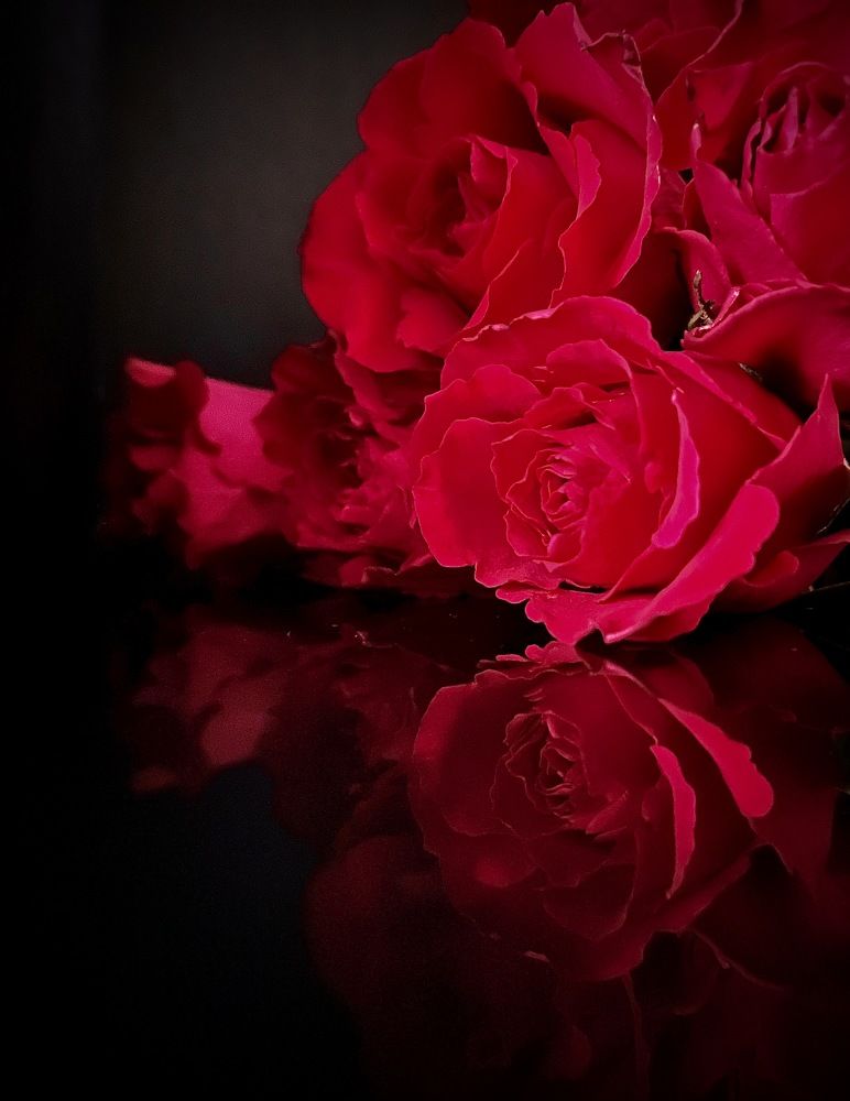 Photograph by Светлана Хохлова