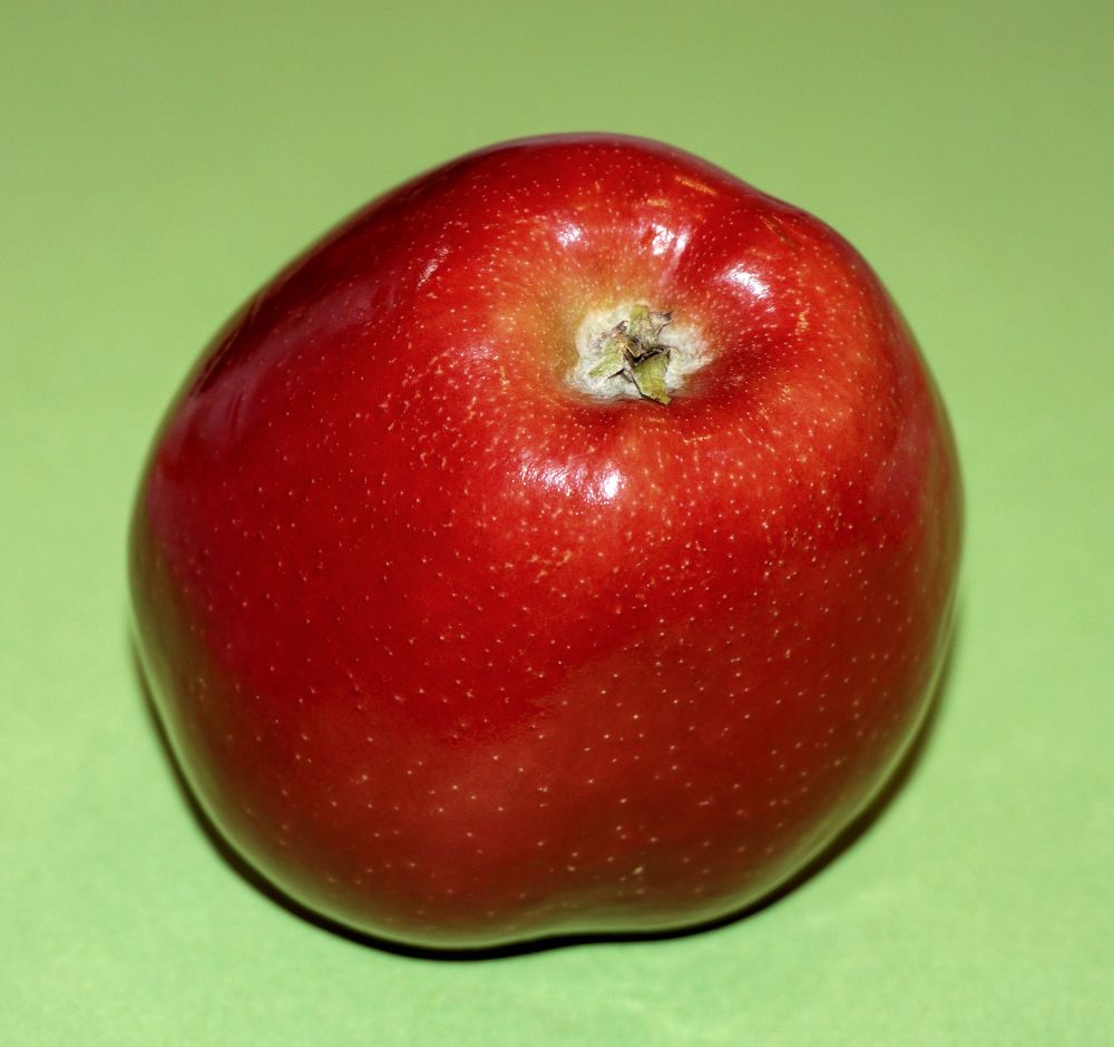 Photograph by Ави Христова