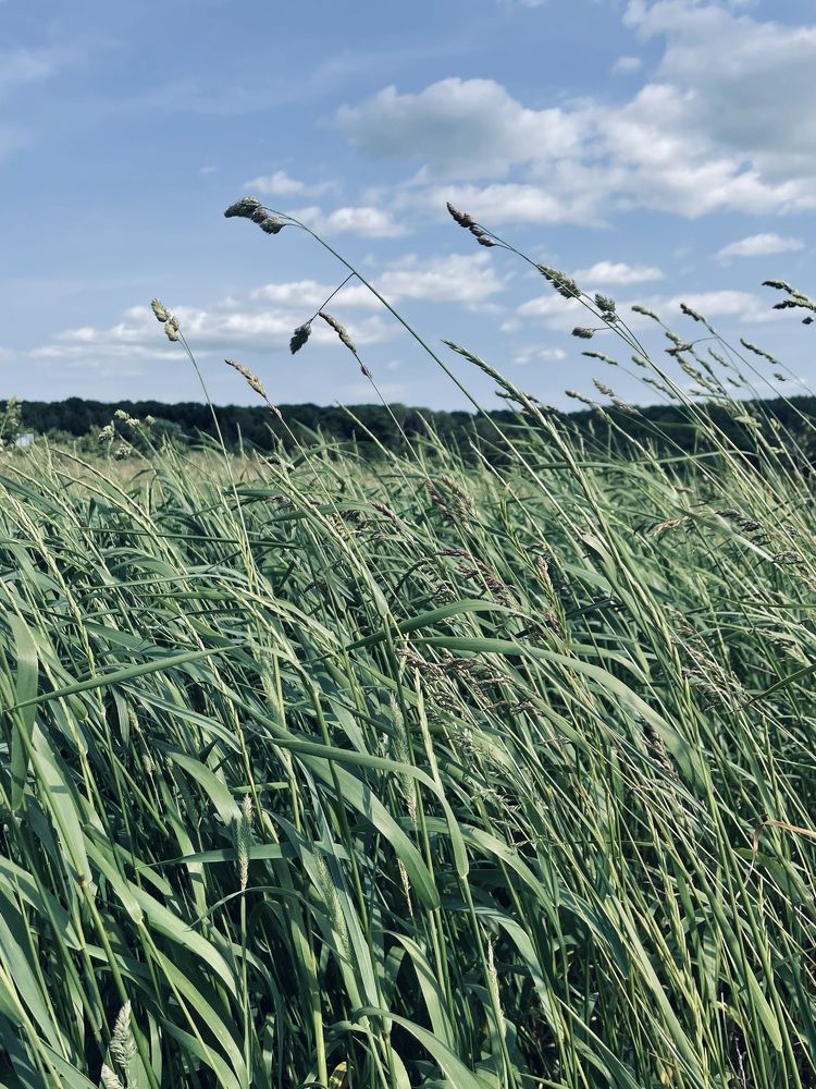 Photograph by Анна