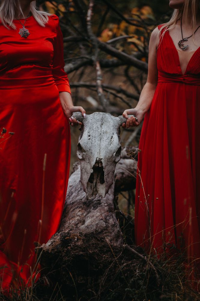 Фотография автора Olesya Taurus