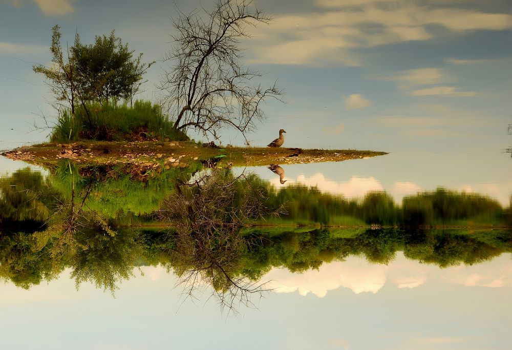 Photograph by Виталий Уланов