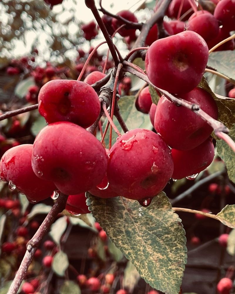 Photograph by Анна