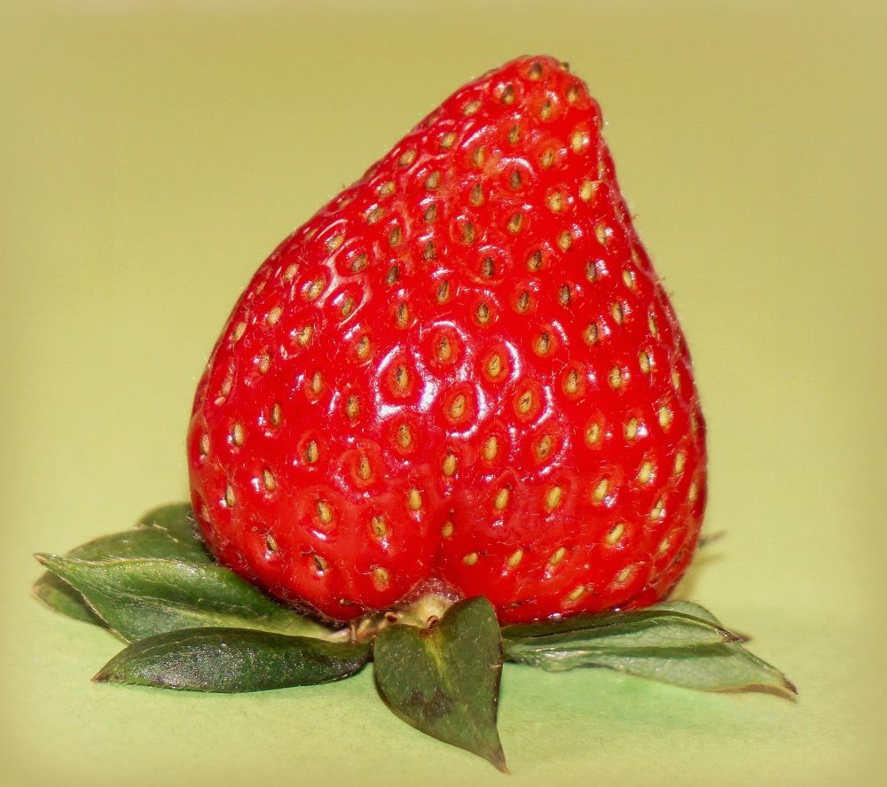 Photograph by Ави Христова