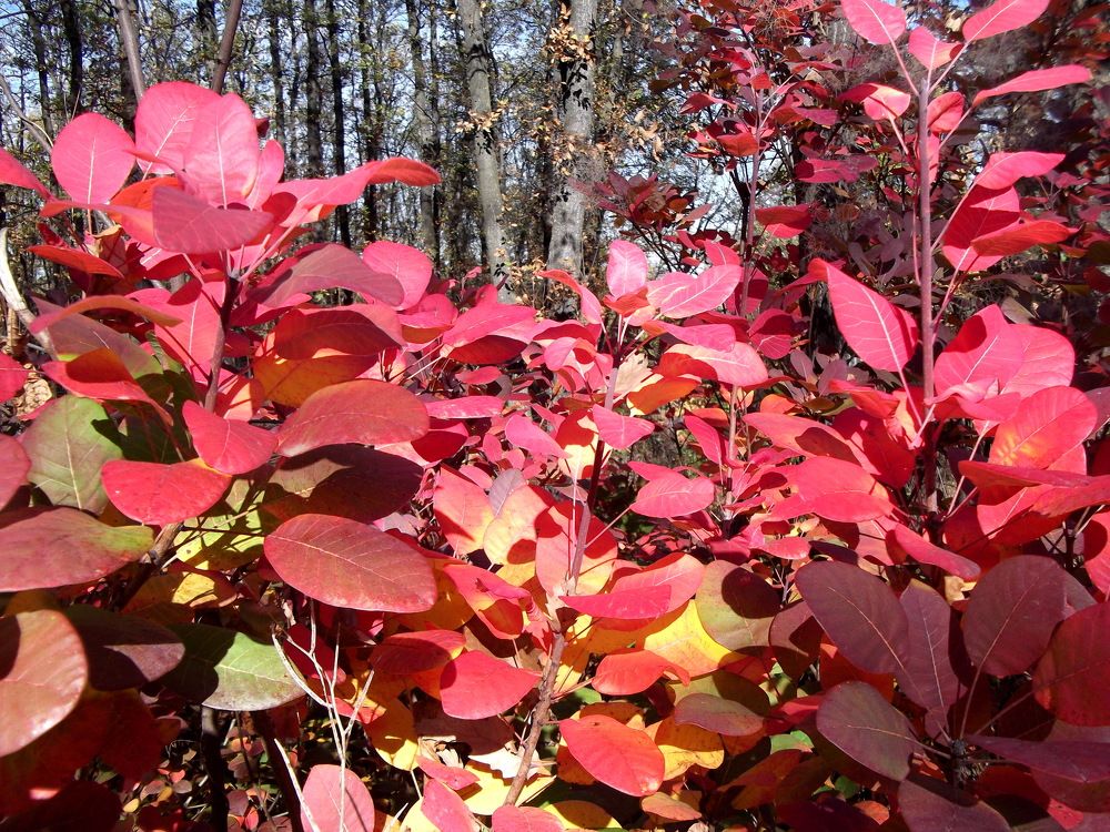 Photograph by Ави Христова