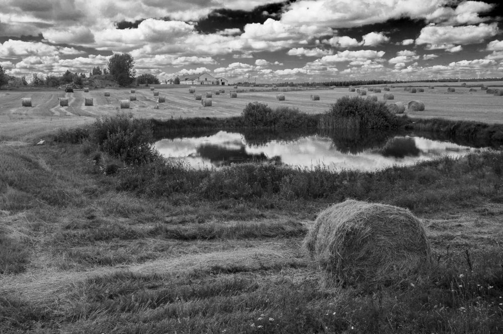 Август в Беларуси - 1 ч.б