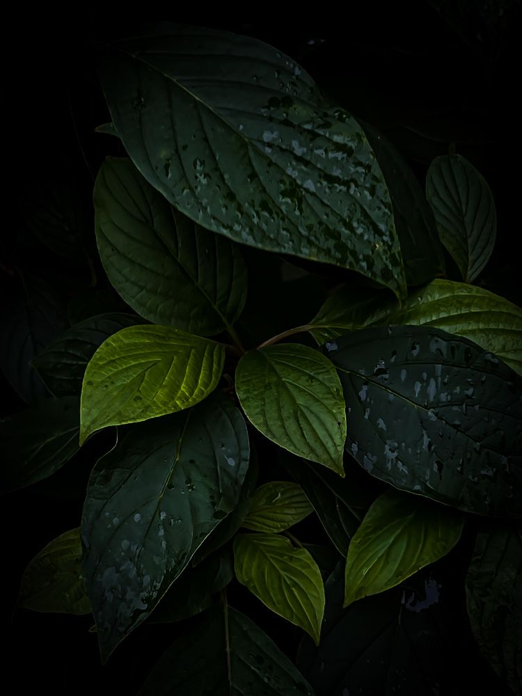 Photograph by Елена Башмакова