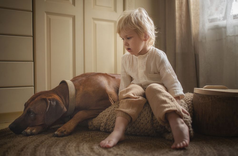 Вот-те и батькин обед!