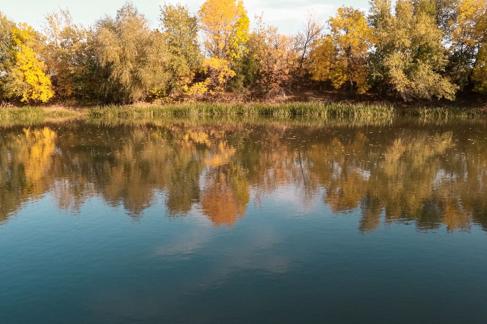 Фотография автора Анастасия Мещерякова