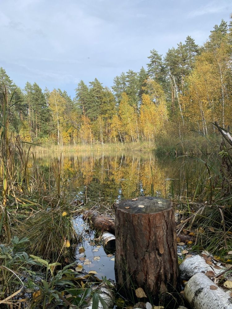 Photograph by Елена Гущина