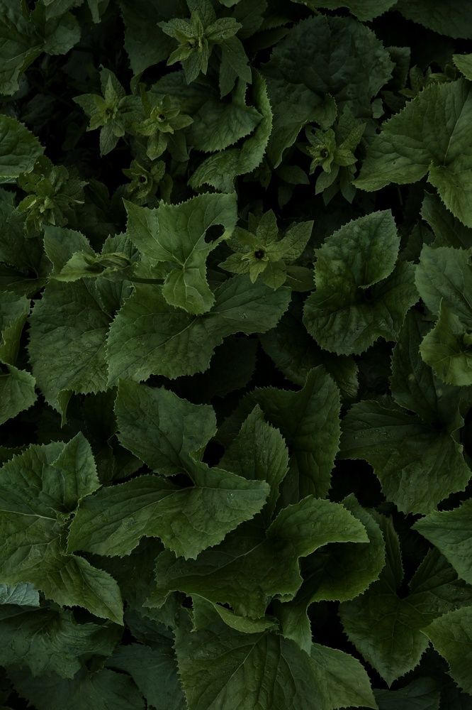 Photograph by Пузан Александр