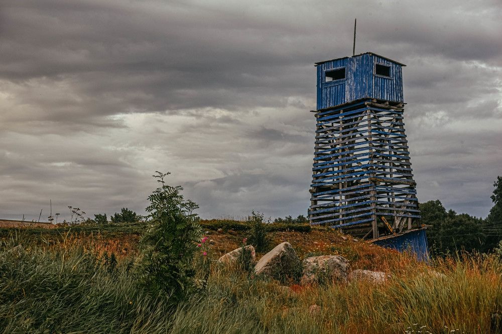 Photograph by виктория воронова