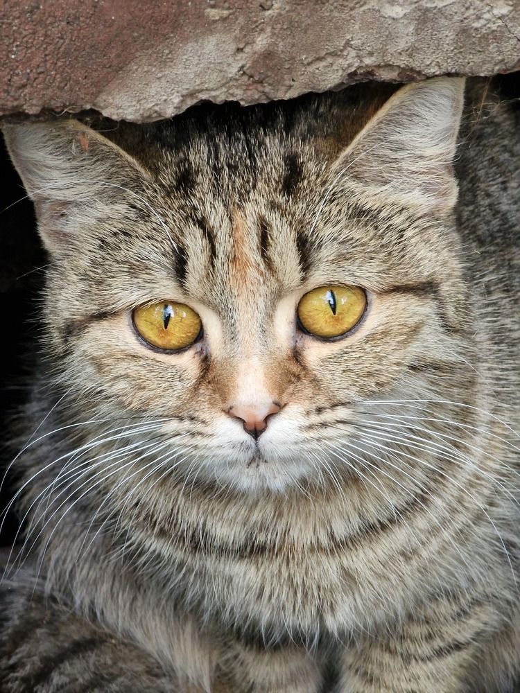 Photograph by Татьяна