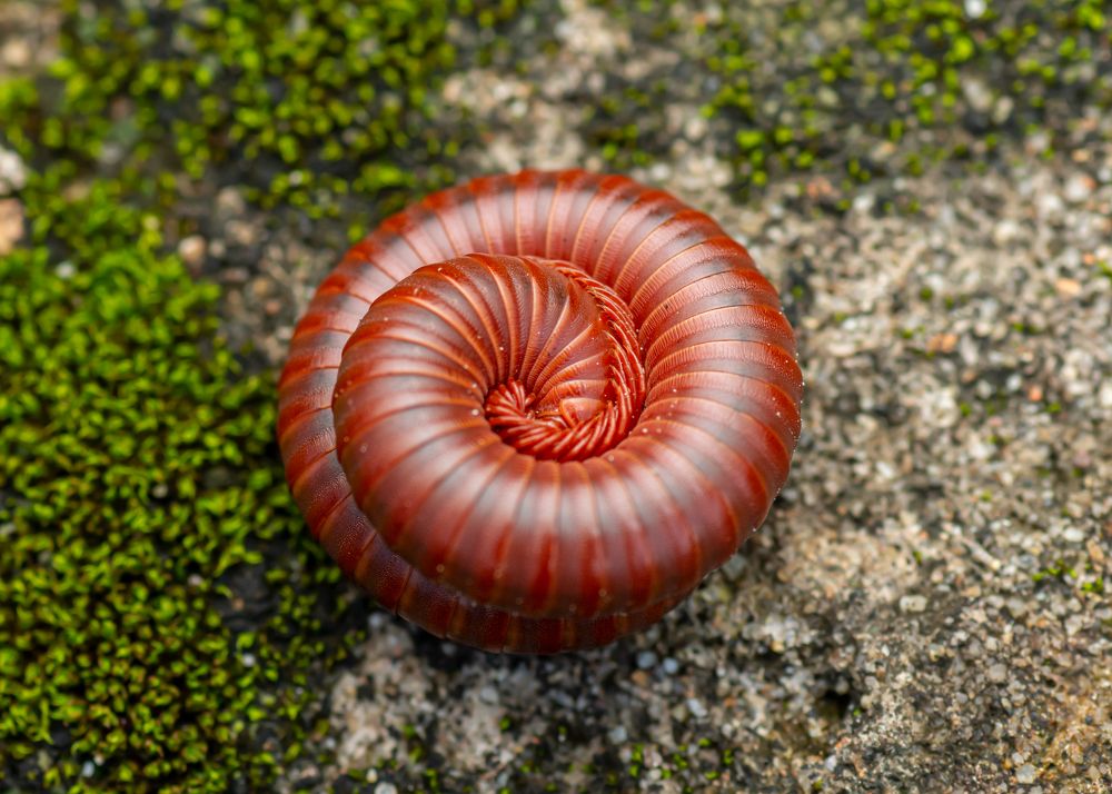 Photograph by Pinak Paul