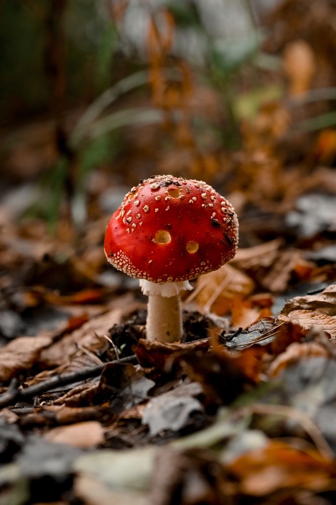 Photograph by Наталья Гришаева