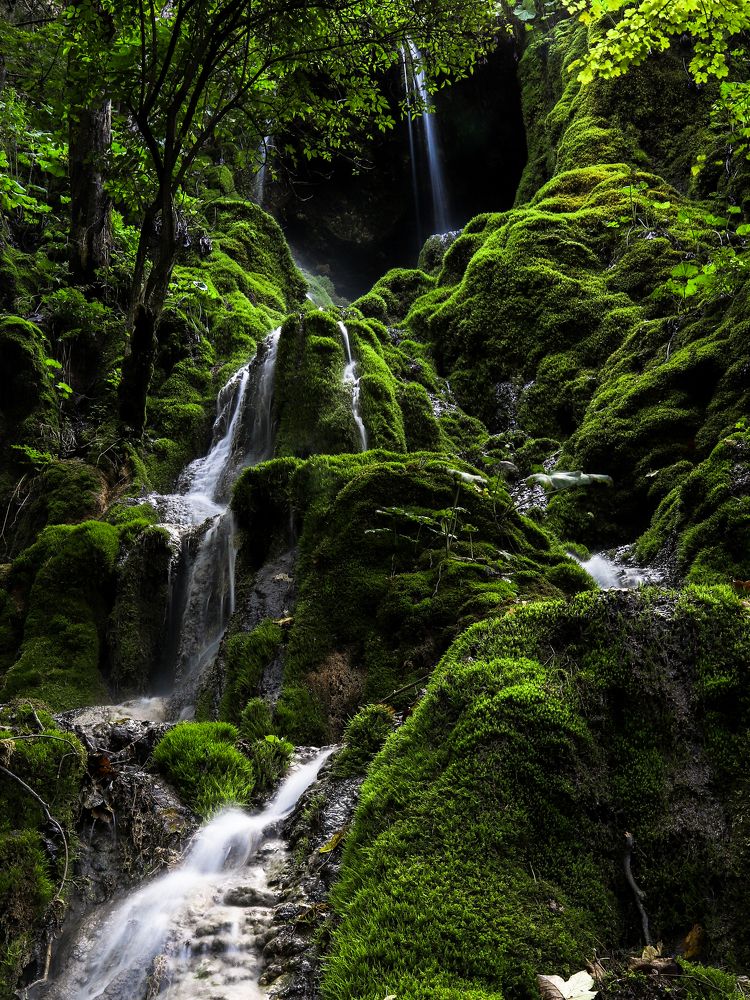 Фотография автора Flegner Calin