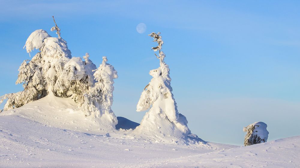 Фотография автора Flegner Calin