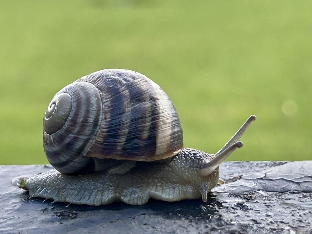 Photograph by Светлана Ткаченко