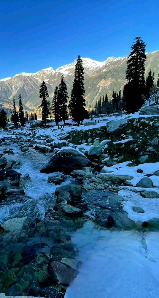 Photograph by Megha Gupta