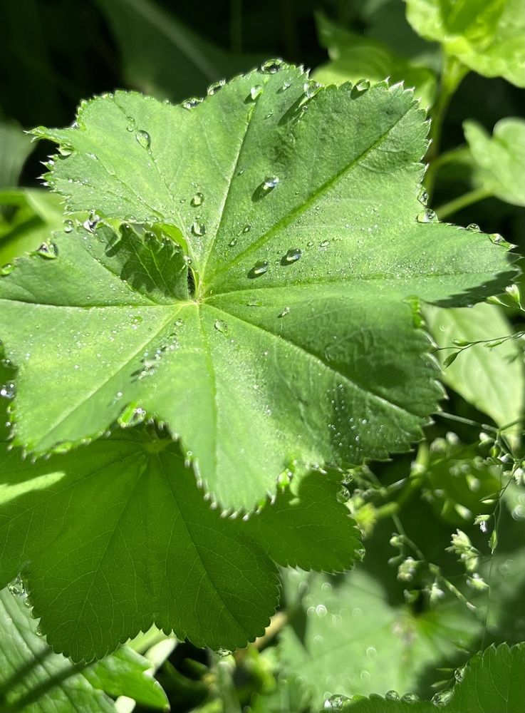 Photograph by Марина Смирнова