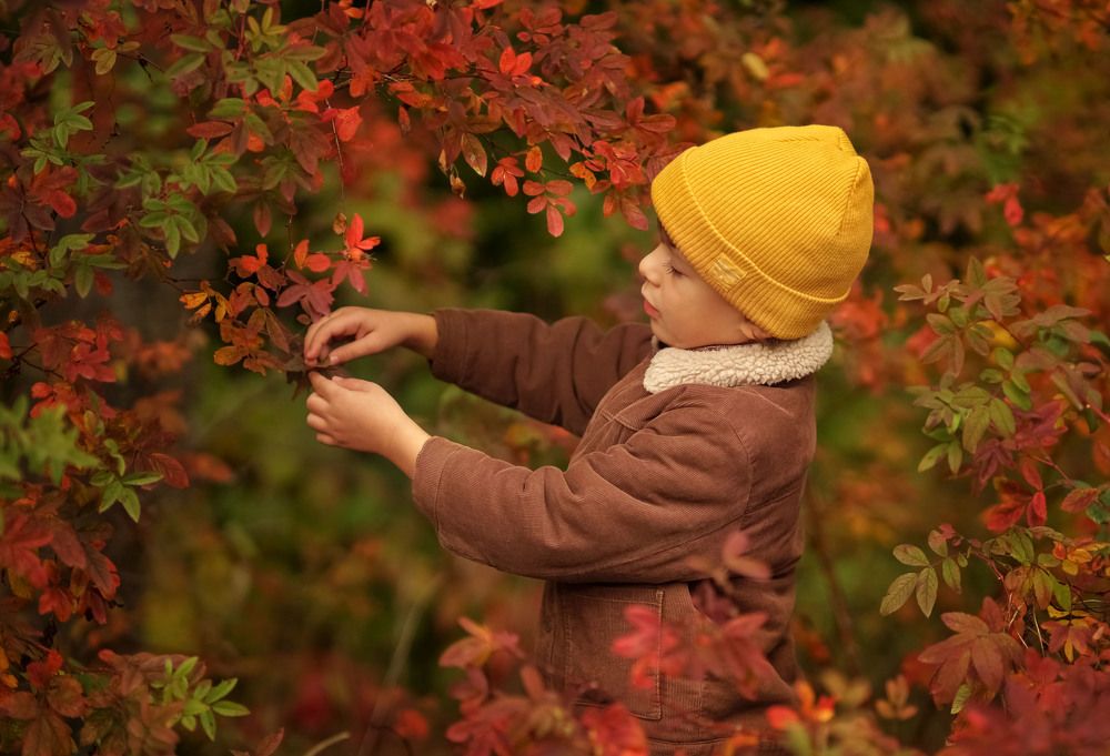 Photograph by Екатерина Стрельникова