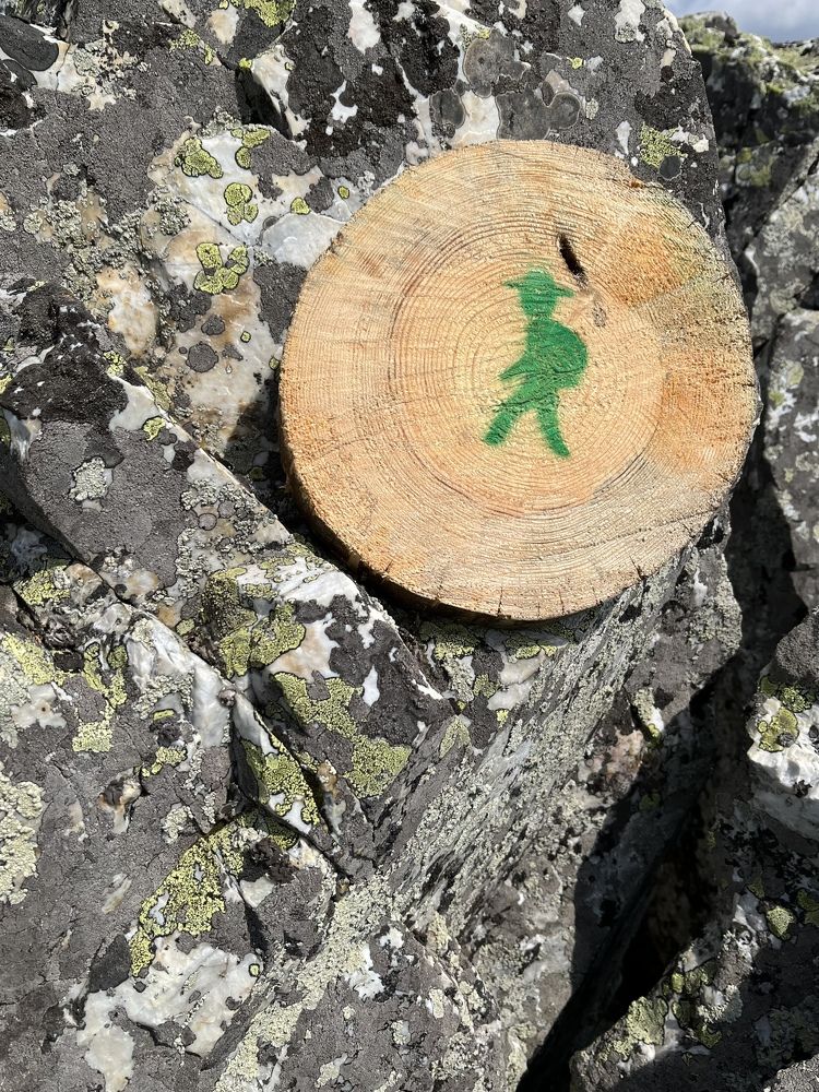 Photograph by Марина Смирнова