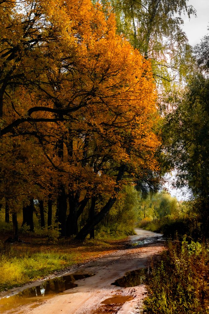 Photograph by Сергей Аникушин