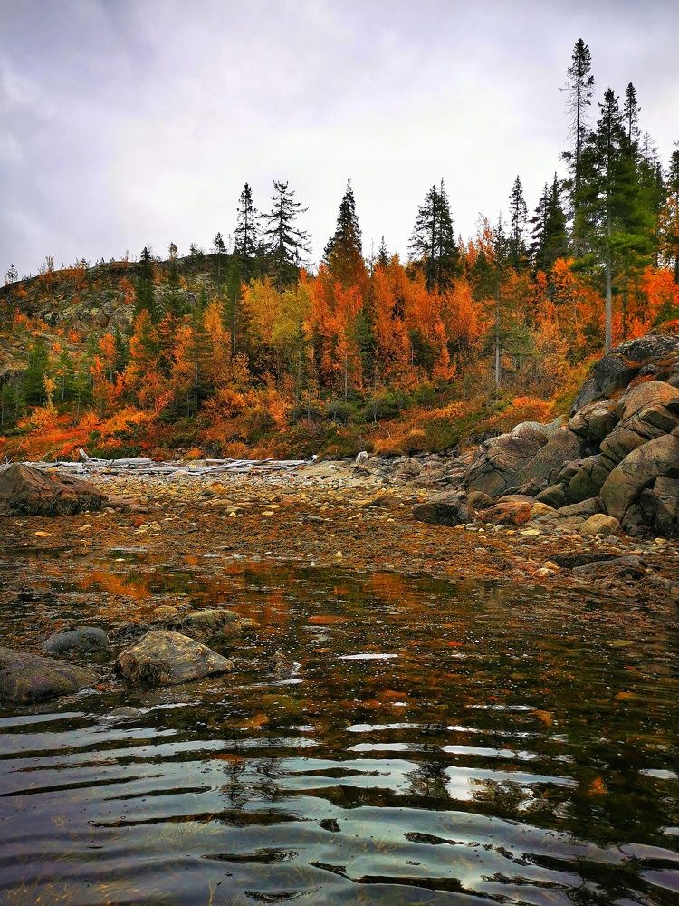 Photograph by Елена Артёменко