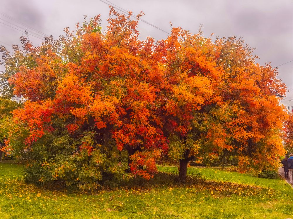 Photograph by Владимир Орлов