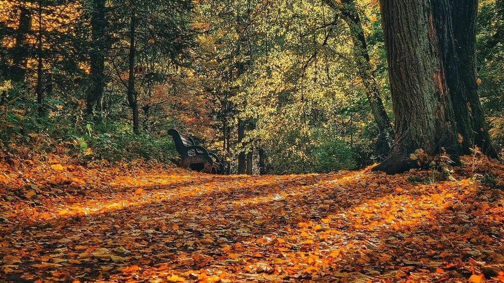 Photograph by Максим Кольцов