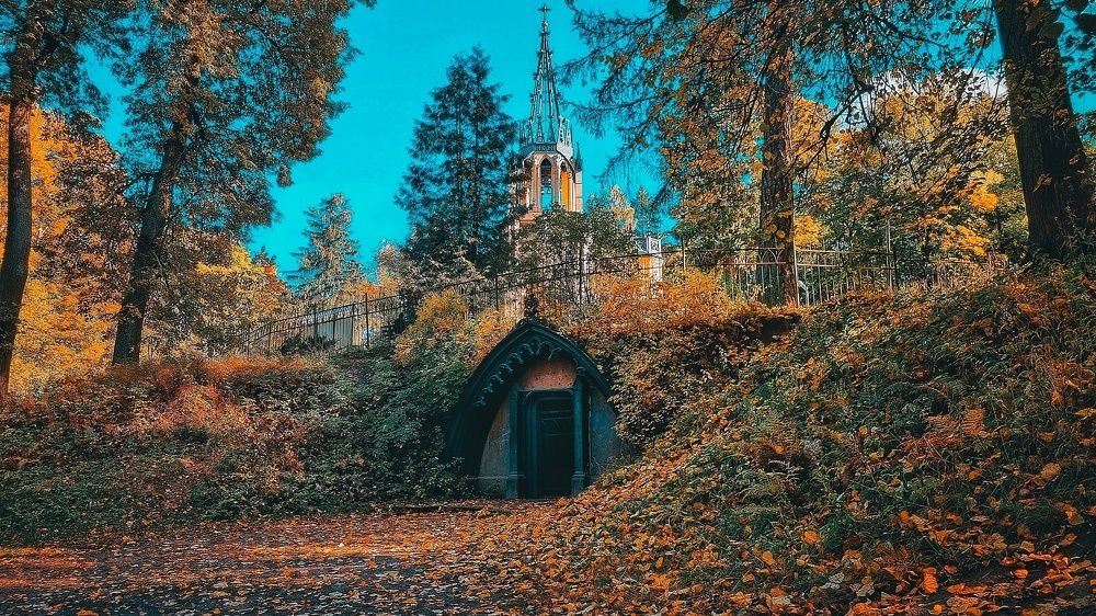 Photograph by Максим Кольцов