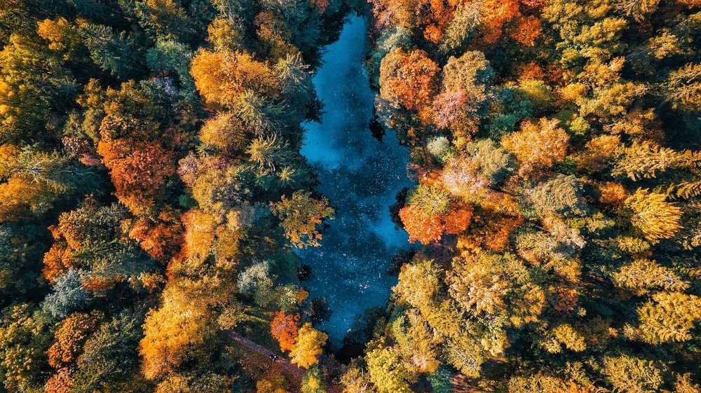 Photograph by Максим Кольцов