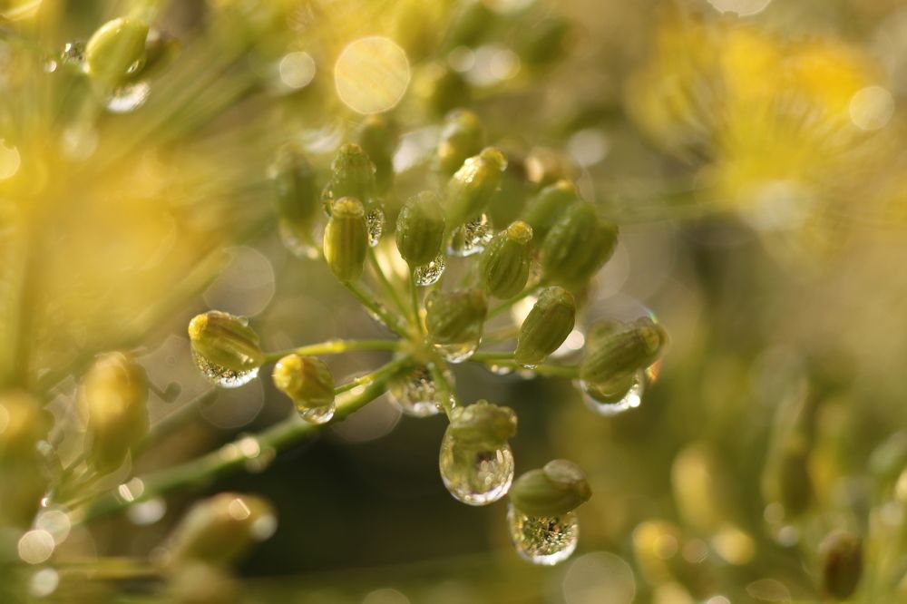 Photograph by Светлана Богомолова