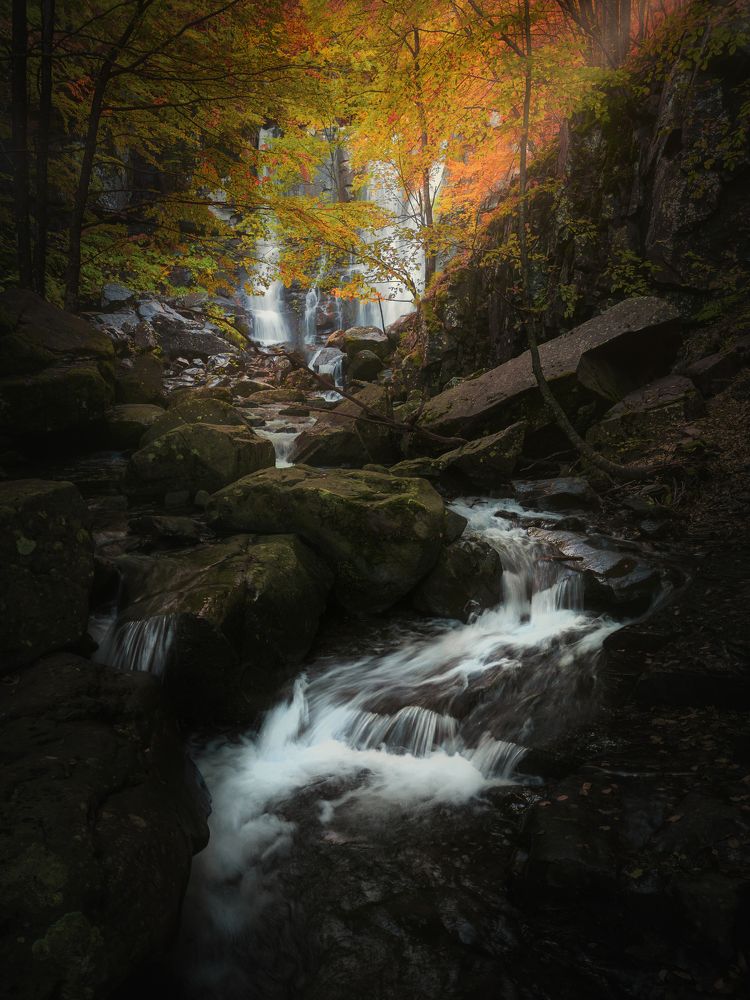 Photograph by Marco Grosso