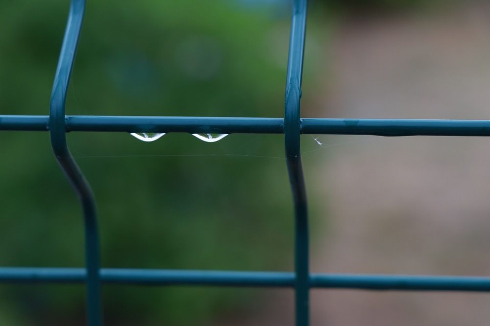 Photograph by Егорова Оксана