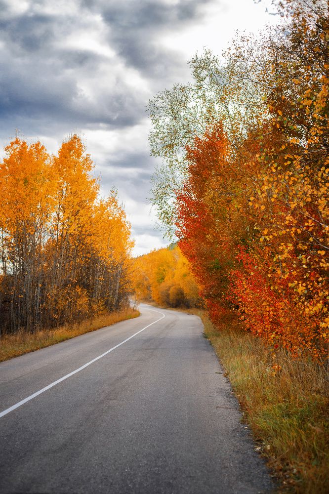 Photograph by Наталья Кириллова