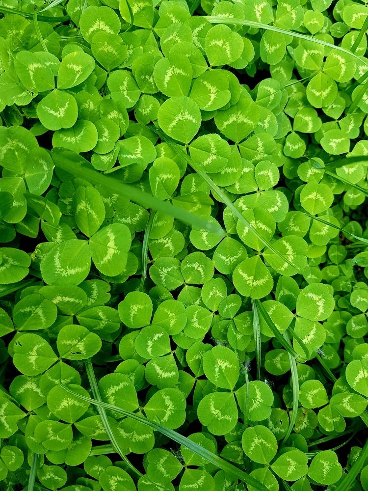 Photograph by Руслан Гордиенко