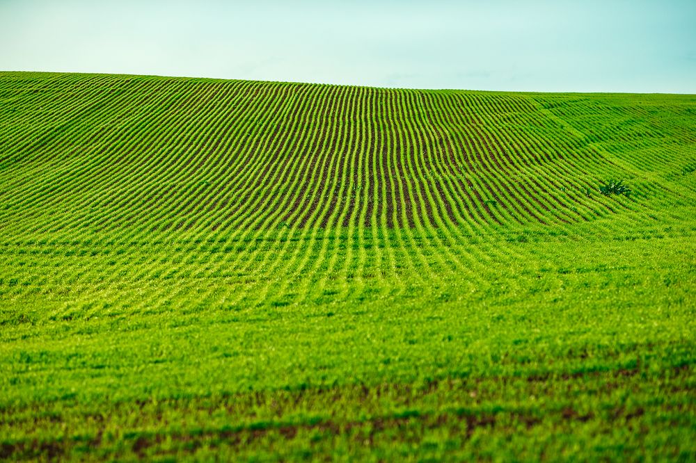 Фотография автора Чумаков Павел