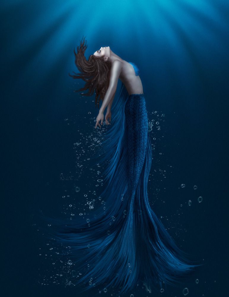 Фотография автора Peter Rooney