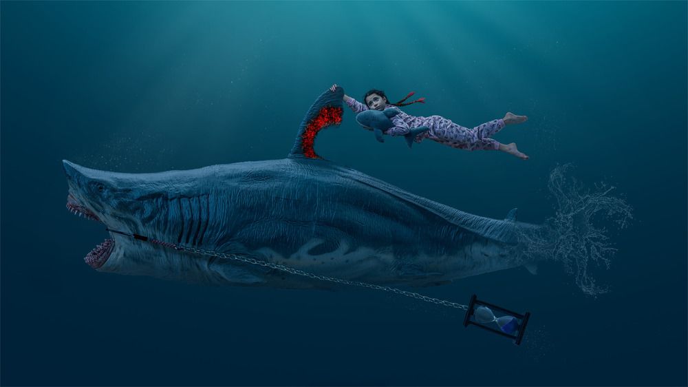 Фотография автора Peter Rooney