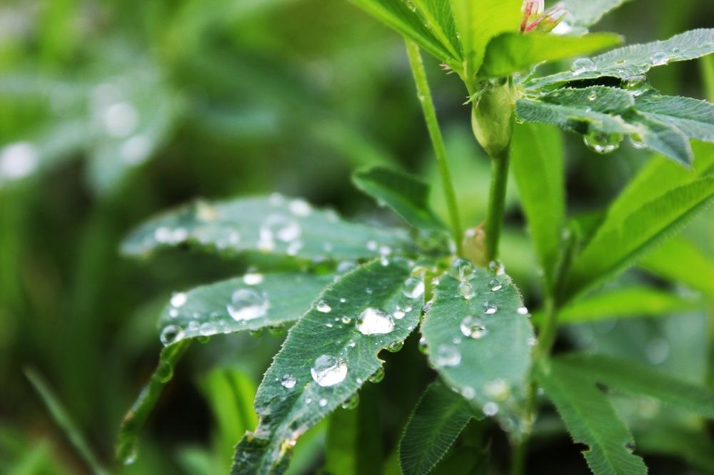 Photograph by Владимир Сушкин