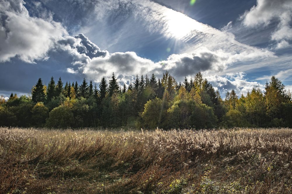 Photograph by Максим Сорокин