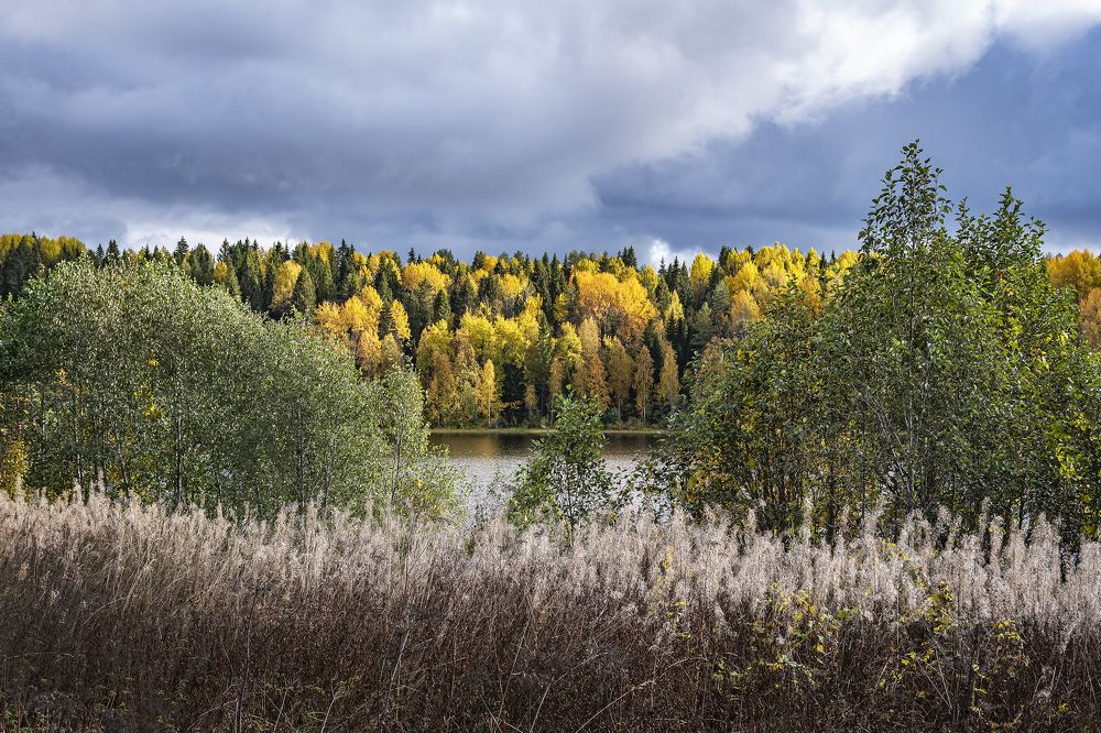 Photograph by Максим Сорокин