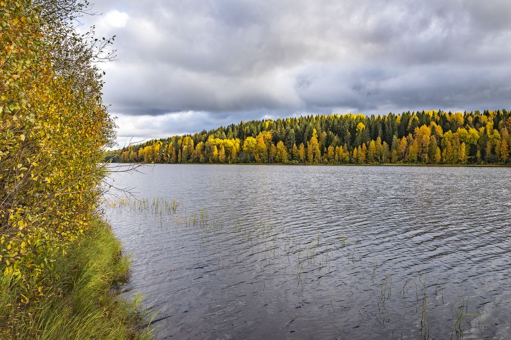 Photograph by Максим Сорокин