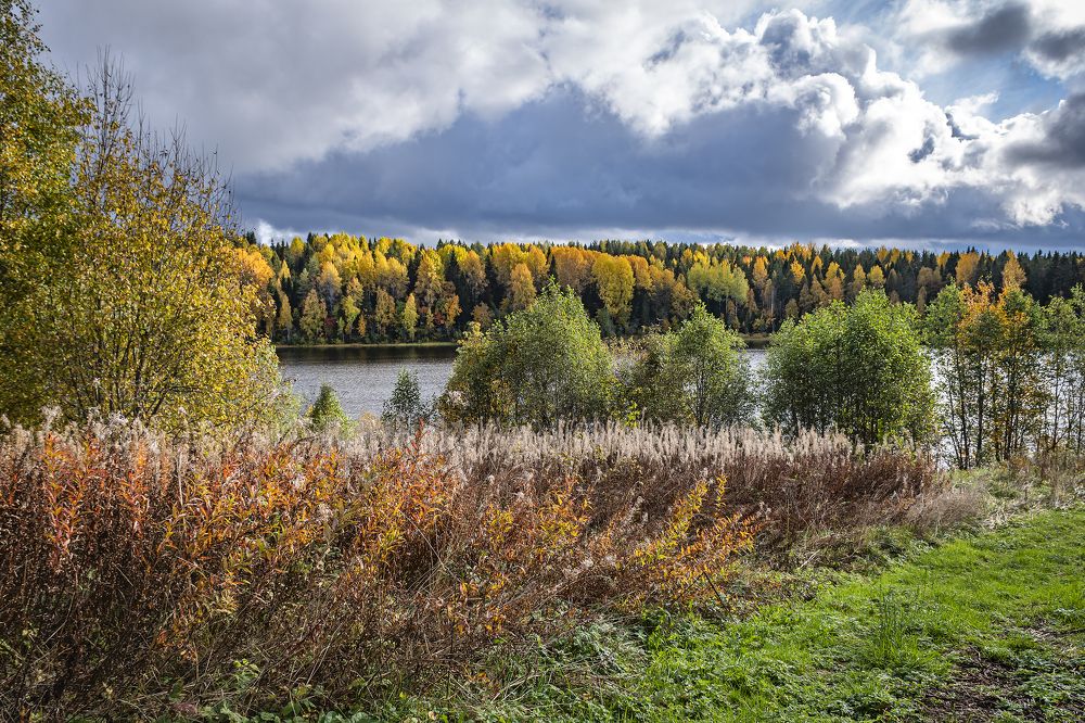 Photograph by Максим Сорокин