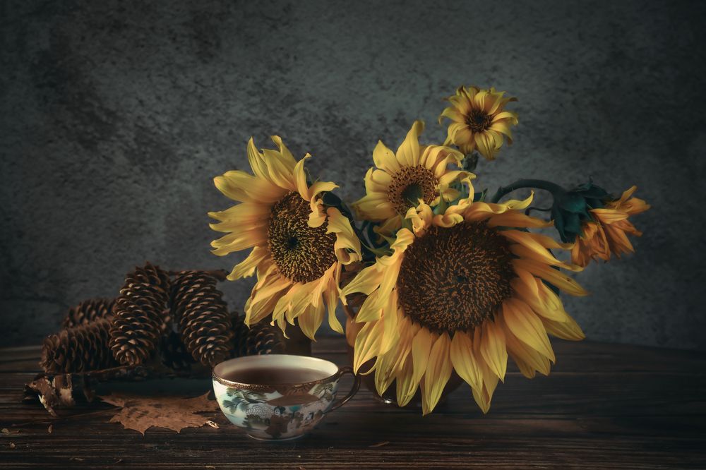 Фотография автора Anna NovaLova